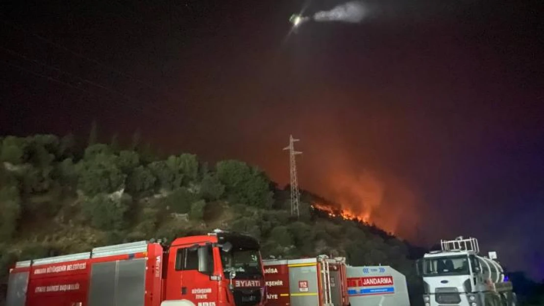 Söke'deki orman yangınında alevler geceyi aydınlattı