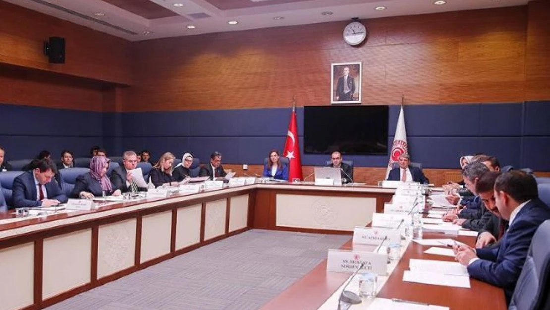 TBMM Dışişleri Komisyonunda 14 kanun tasarısı kabul edildi