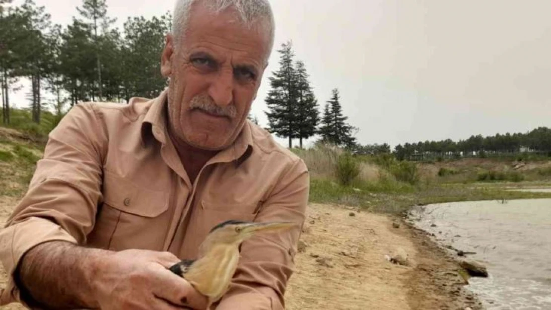 Tedavisi tamamlanan balaban kuşu doğaya bırakıldı