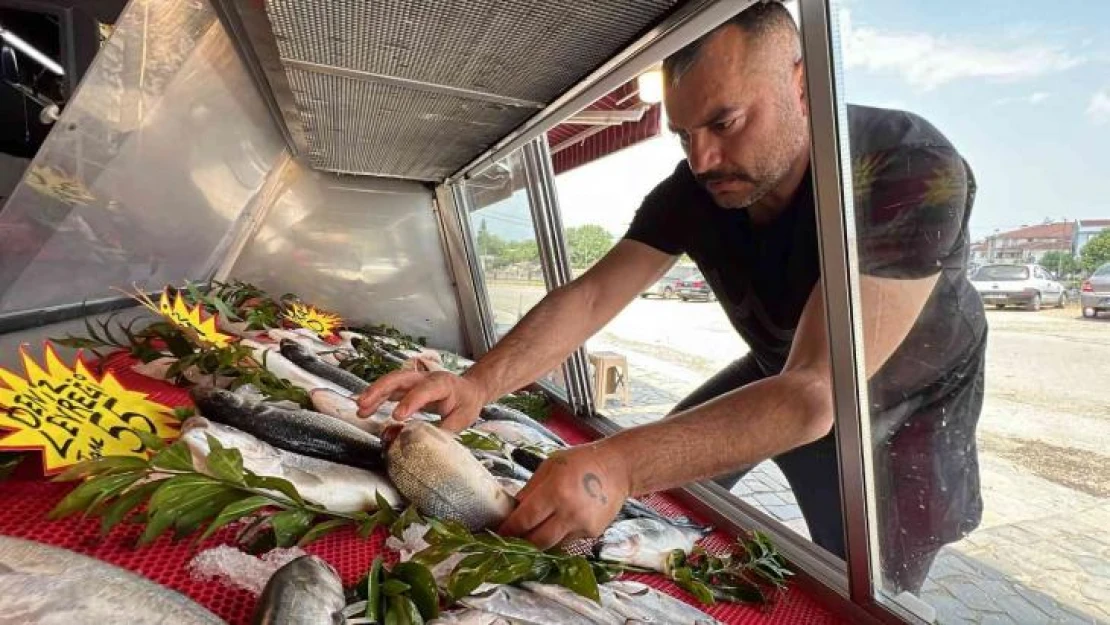 Tezgahlarda lüfer ve çinekop bolluğu