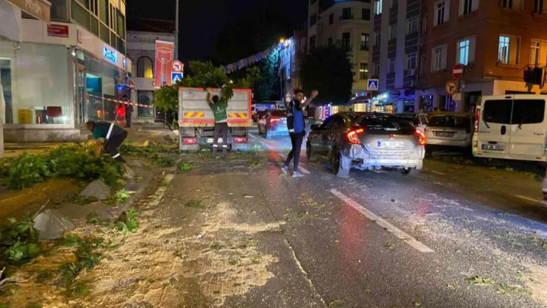 TIR'ın çarptığı ağaç ortadan ikiye kırıldı