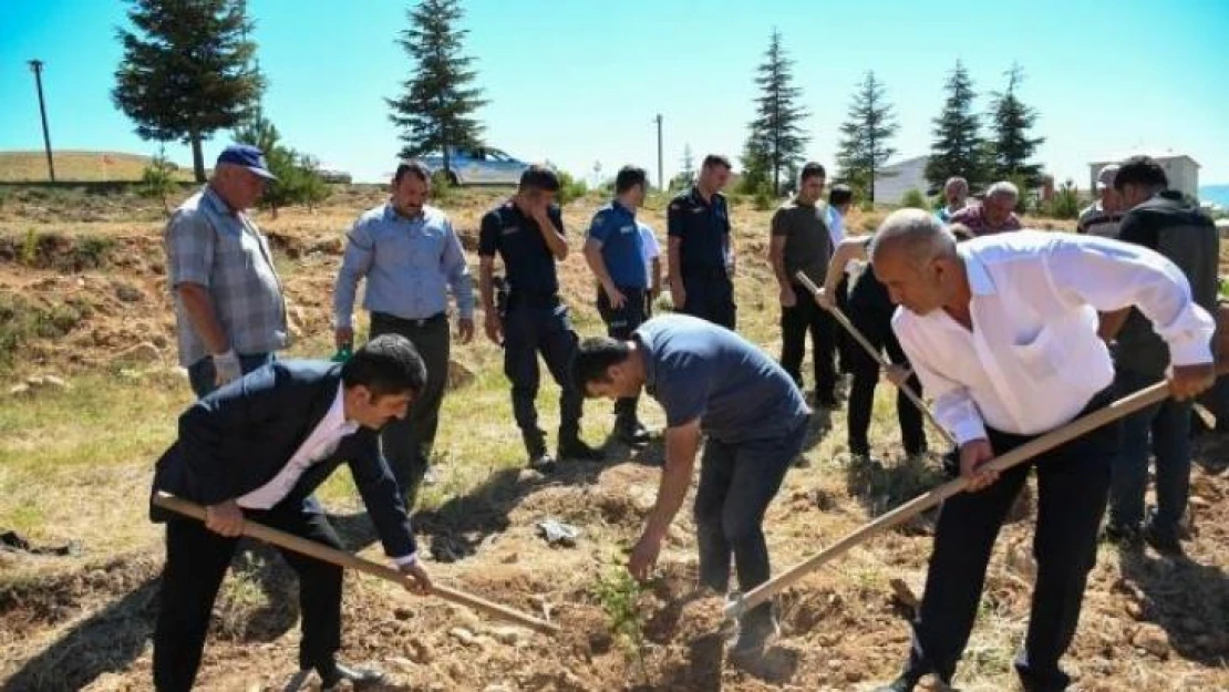 Tufanbeyli'de 15 Temmuz'da fidanlar toprakla buluştu