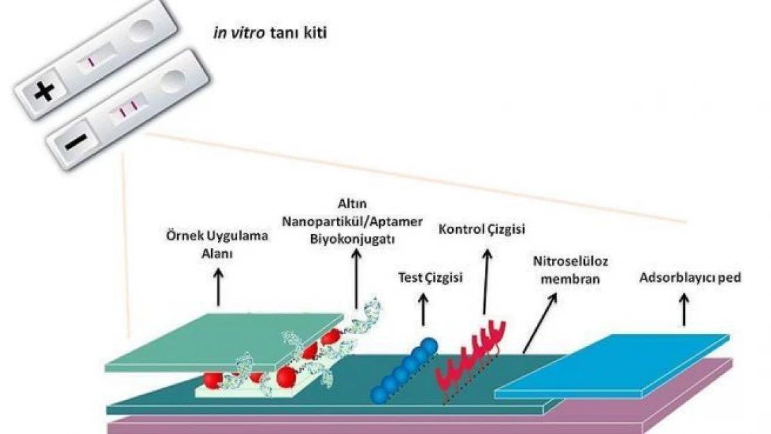 Tükürükten uyuşturucunun türünü belirleyen cihaz