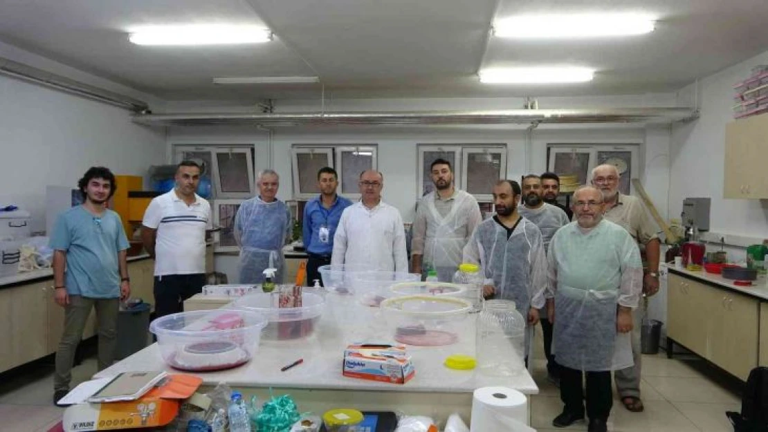 Üniversiteli sülükler  geleneksel ve tamamlayıcı tıbbın hizmetinde
