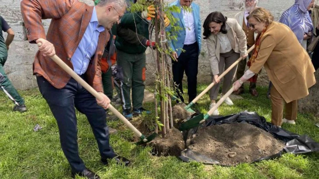 Üsküdar'da binlerce mor salkım ve erguvan vatandaşlara dağıtıldı