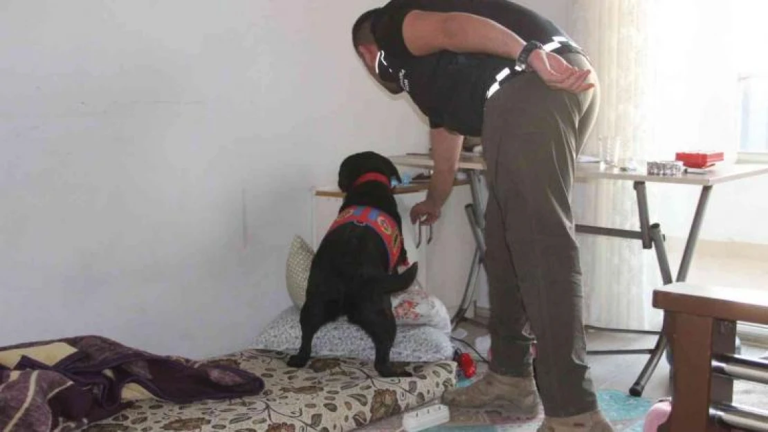 Uyuşturucu satıcılarına şafak operasyonu: 18 gözaltı