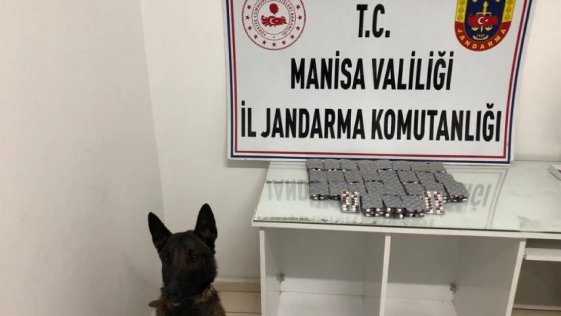 Uyuşturucu tacirleri jandarmaya yakalandı