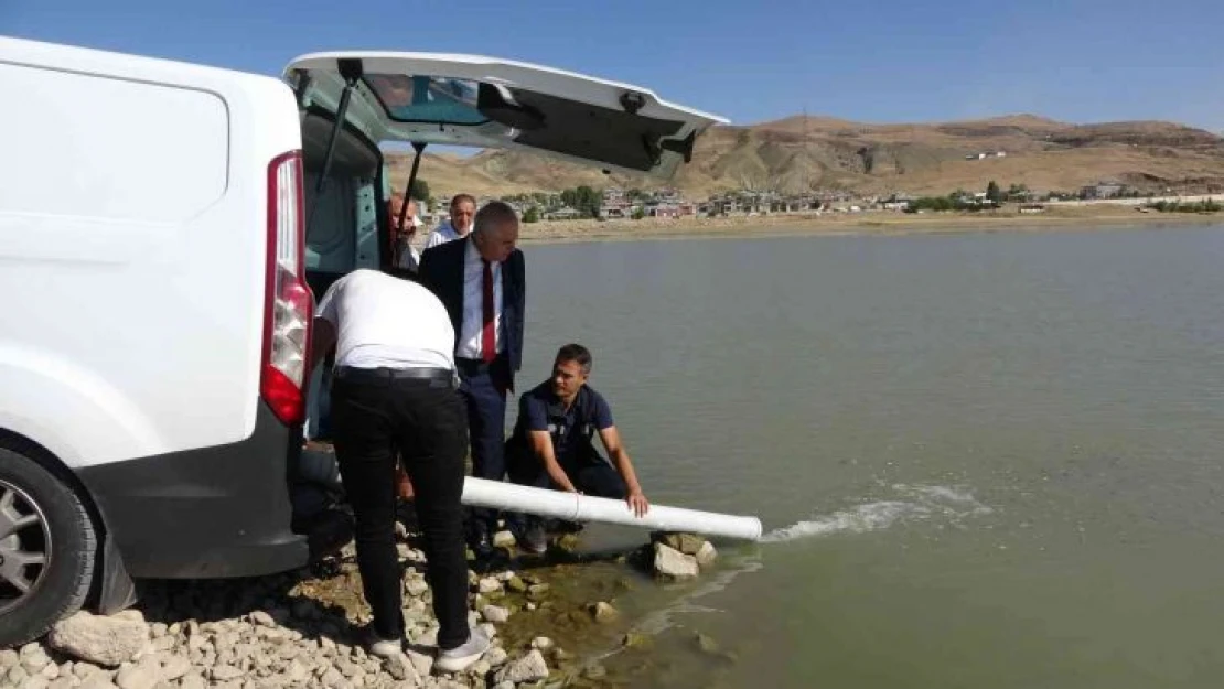 Van'da 1 milyon balık göllere bırakıldı