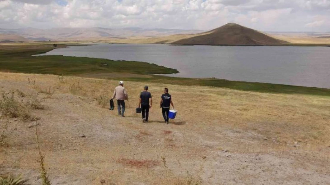 Van'ın yüksek rakımlı göllerinde ilk kez araştırma yapıldı