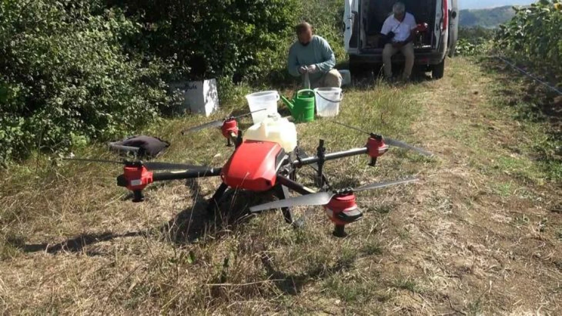 Yalova'da çayır tırtılı ile dronlu mücadele