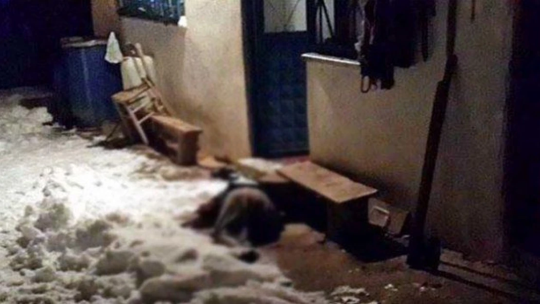Yılın en acı ilk ölüm haberi: Kocası masada, karısı donarak öldü