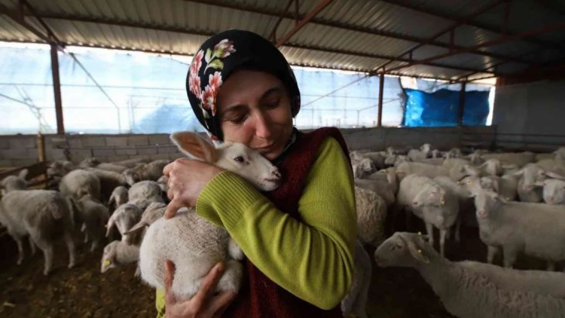 Yolu kapatılan besici kadın hayvanları için gözyaşlarına boğuldu