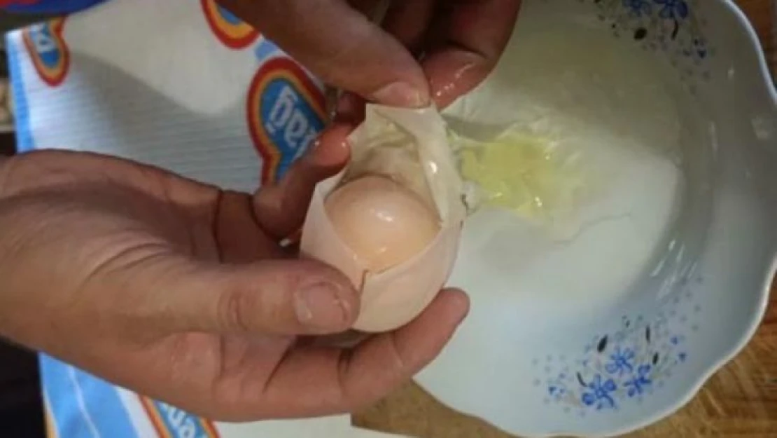Yumurtanın içinden yumurta çıktı