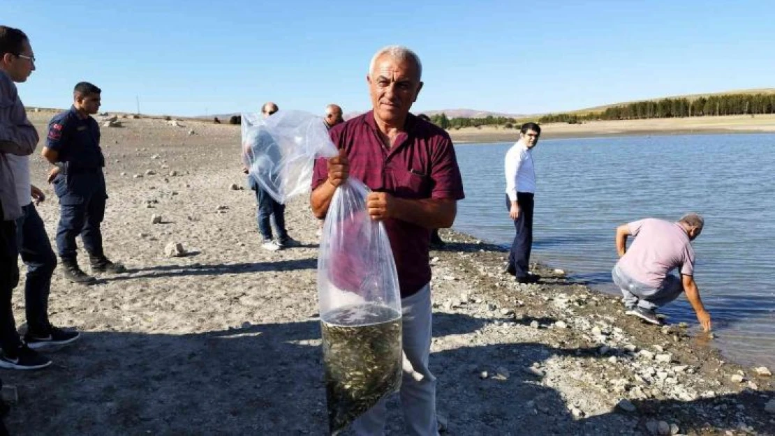 Yüz bin adet sazan yavrusu göletlere bırakıldı