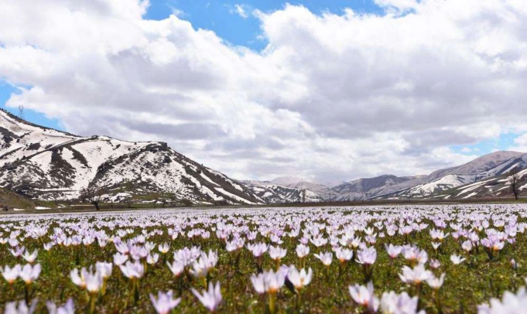 Kardelenlerle beyaza bürünen Güzeldere Vadisinden kartpostallık görüntüler