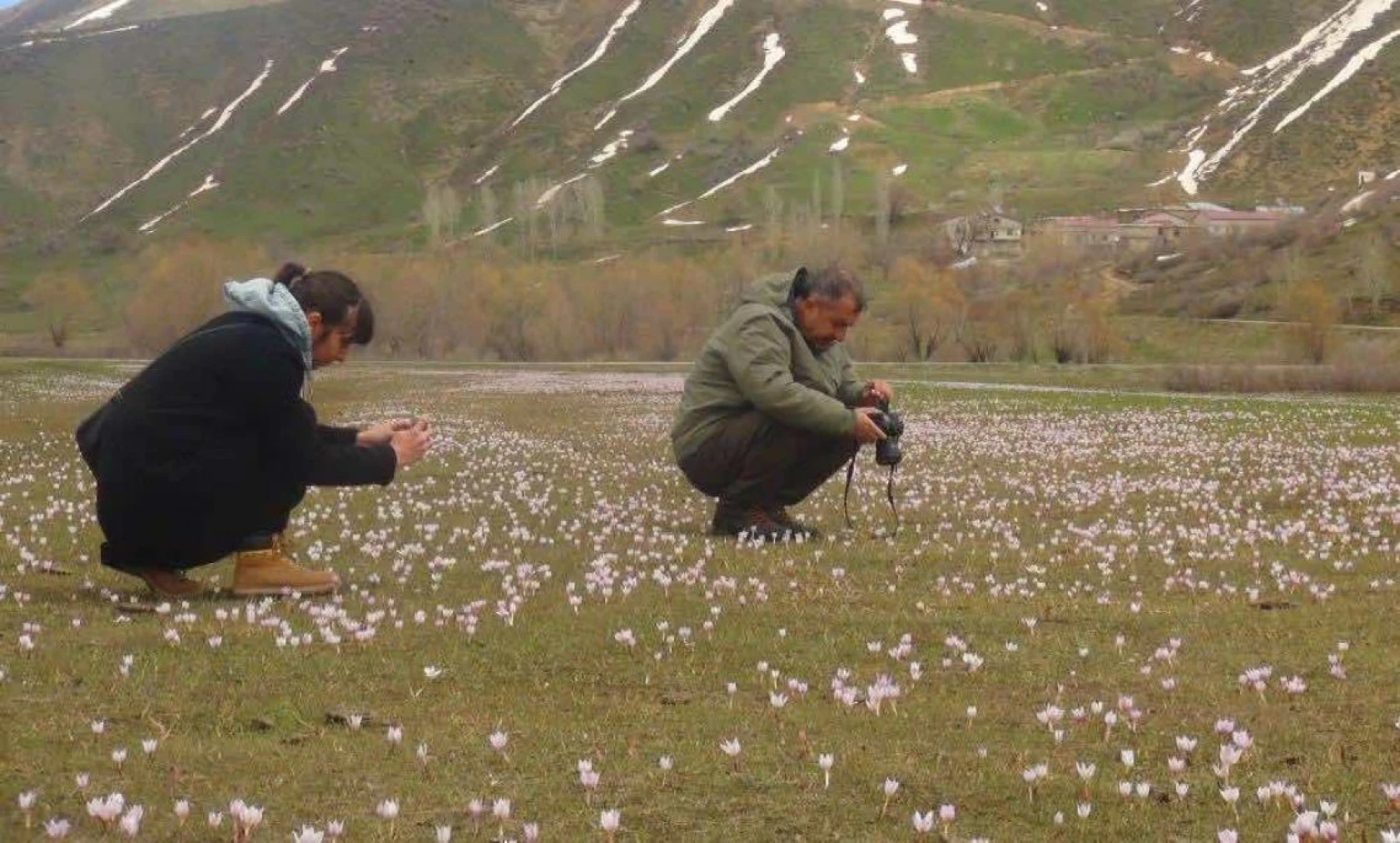 Kardelenlerle beyaza bürünen Güzeldere Vadisinden kartpostallık görüntüler