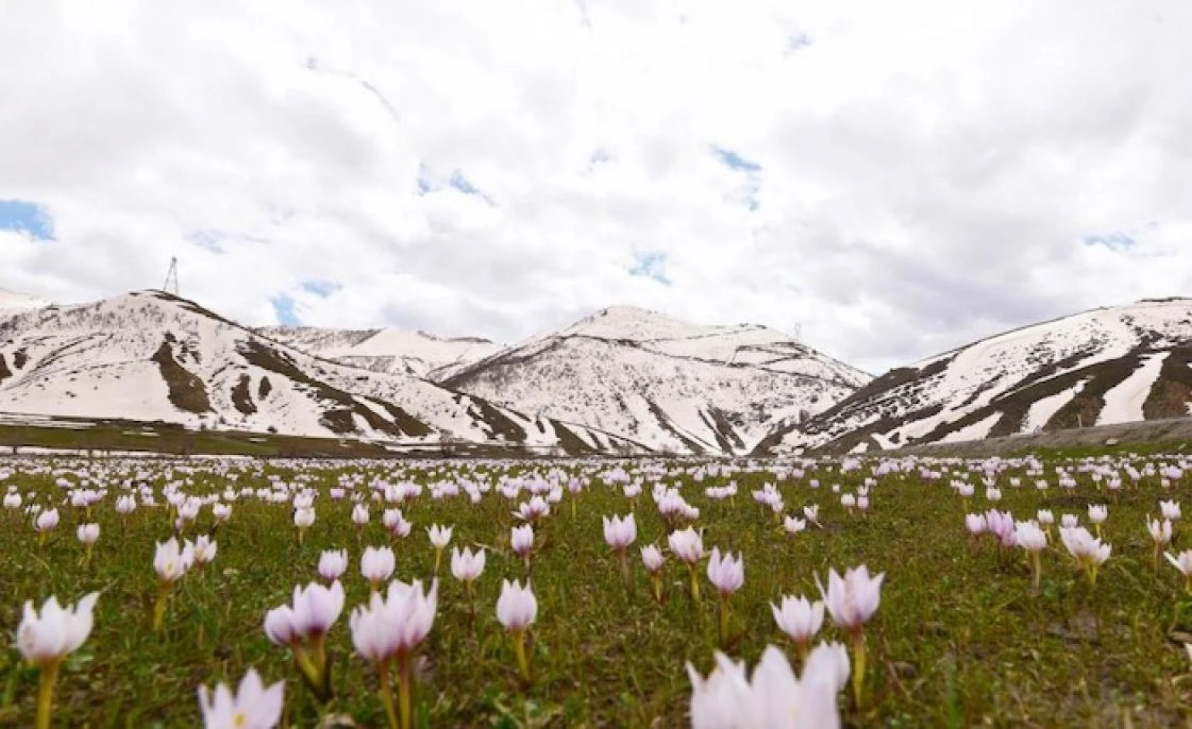 Kardelenlerle beyaza bürünen Güzeldere Vadisinden kartpostallık görüntüler