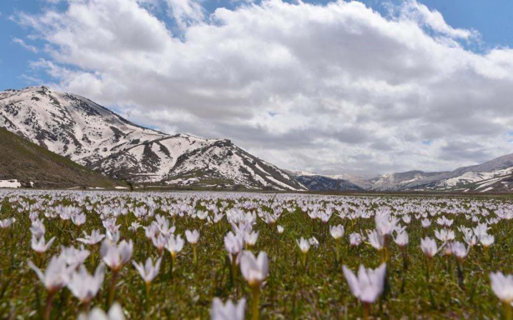 Kardelenlerle beyaza bürünen Güzeldere Vadisinden kartpostallık görüntüler