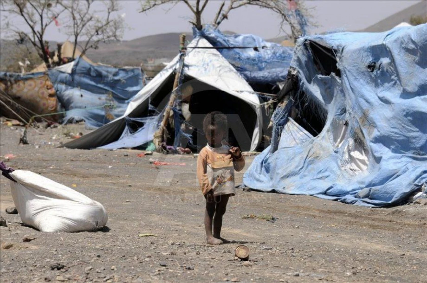 Saada'dan göç eden Yemenliler zor şartlar altında yaşıyor