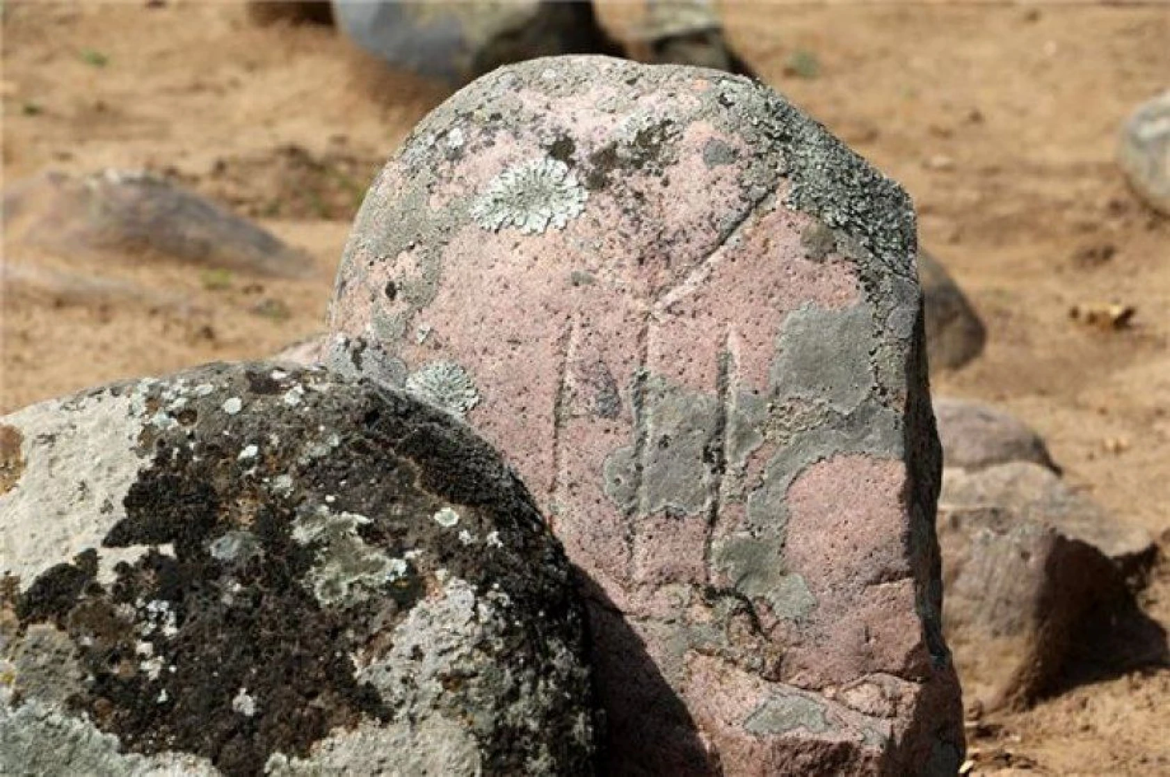 Hatay'da Kayı Boyu damgalı mezar taşları bulundu