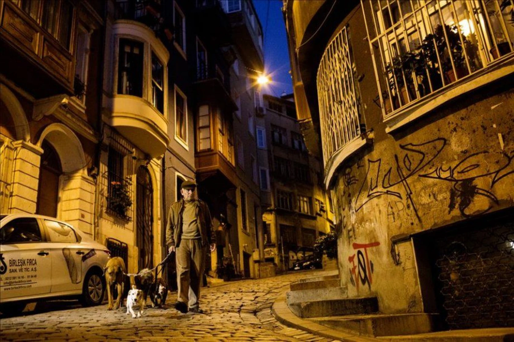 Bu da metropol çobanı