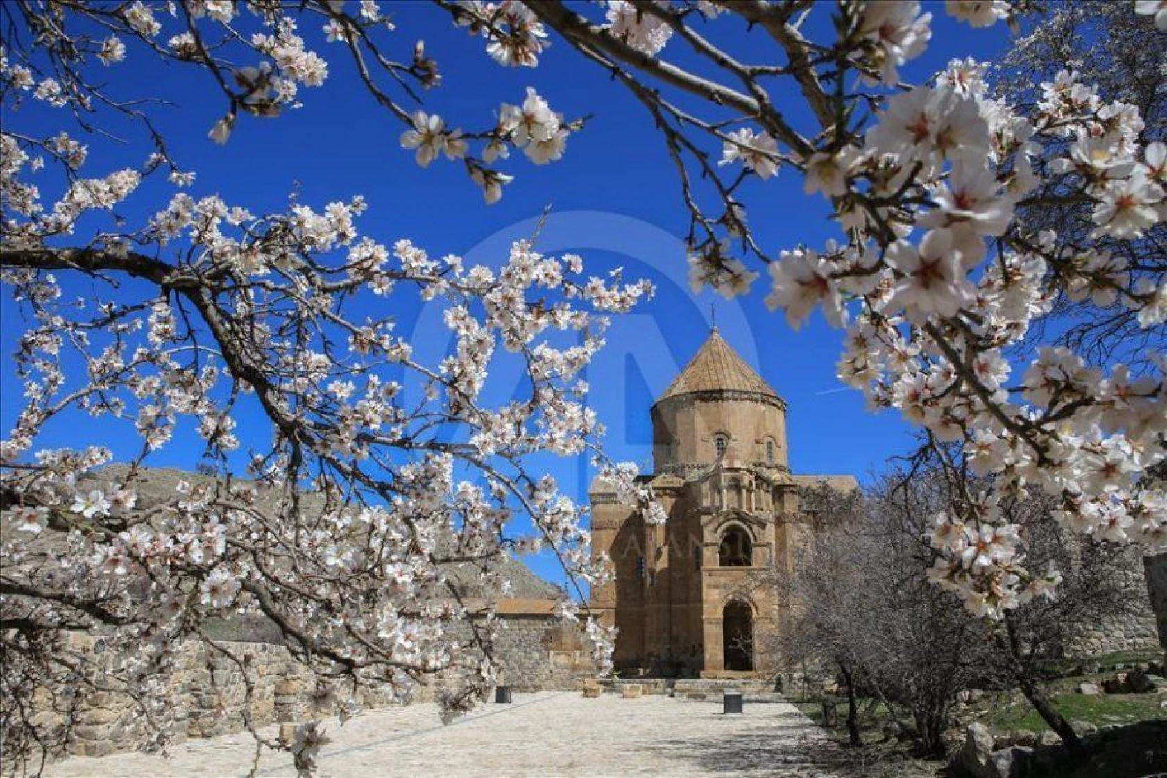 Akdamar Adası çiçeklere büründü