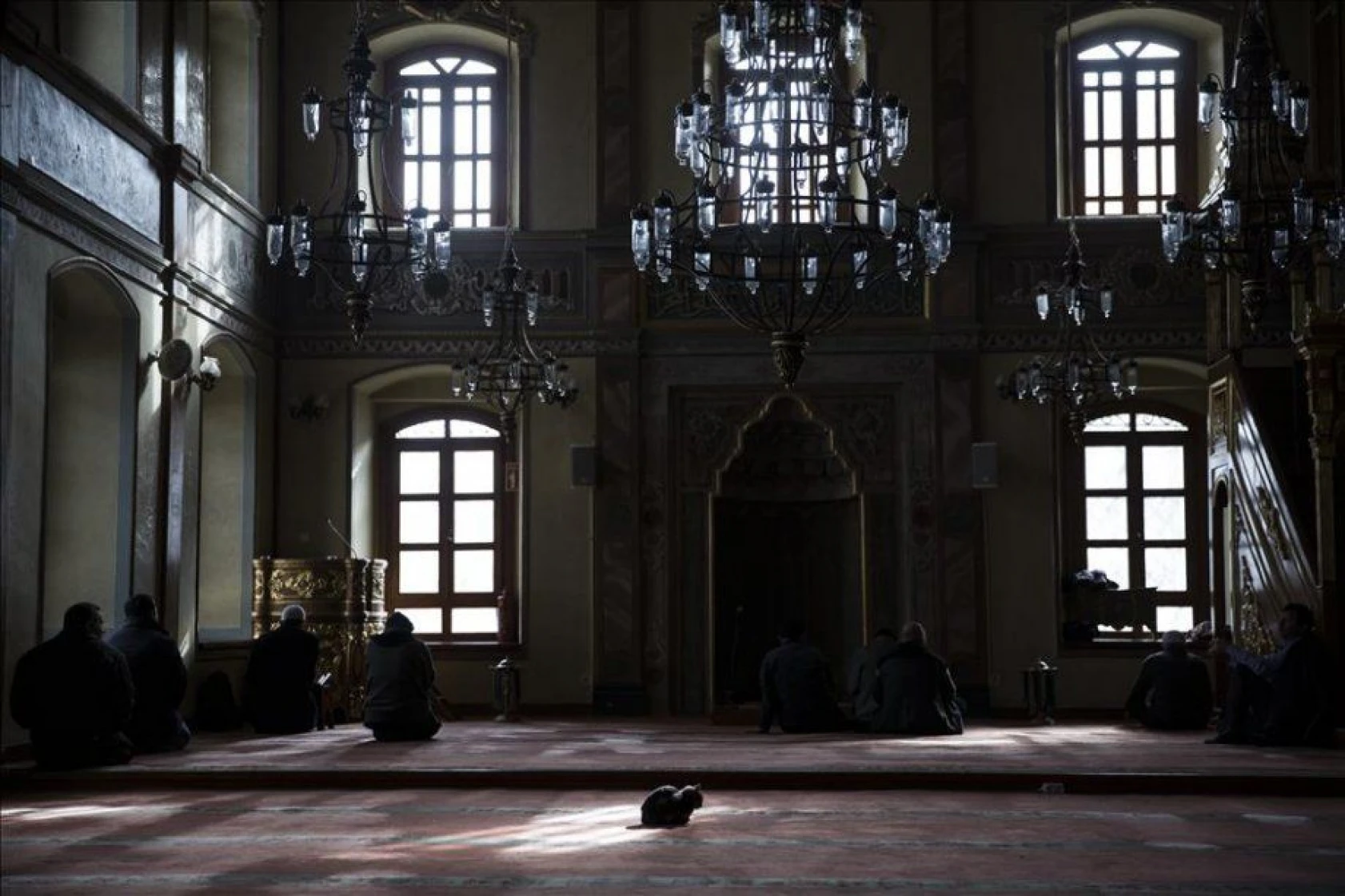 Kediciklerin babası cami imamı