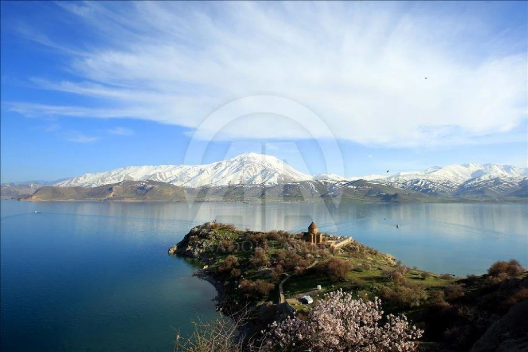 Akdamar Adası çiçeklere büründü