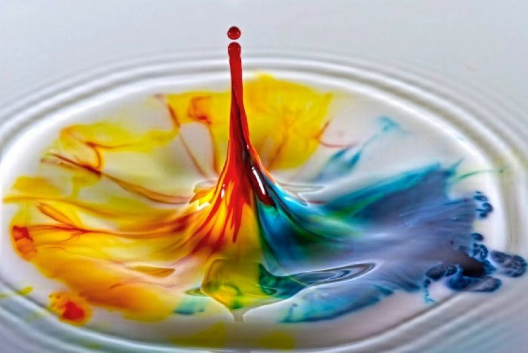 Zehir adı ve fiyatı