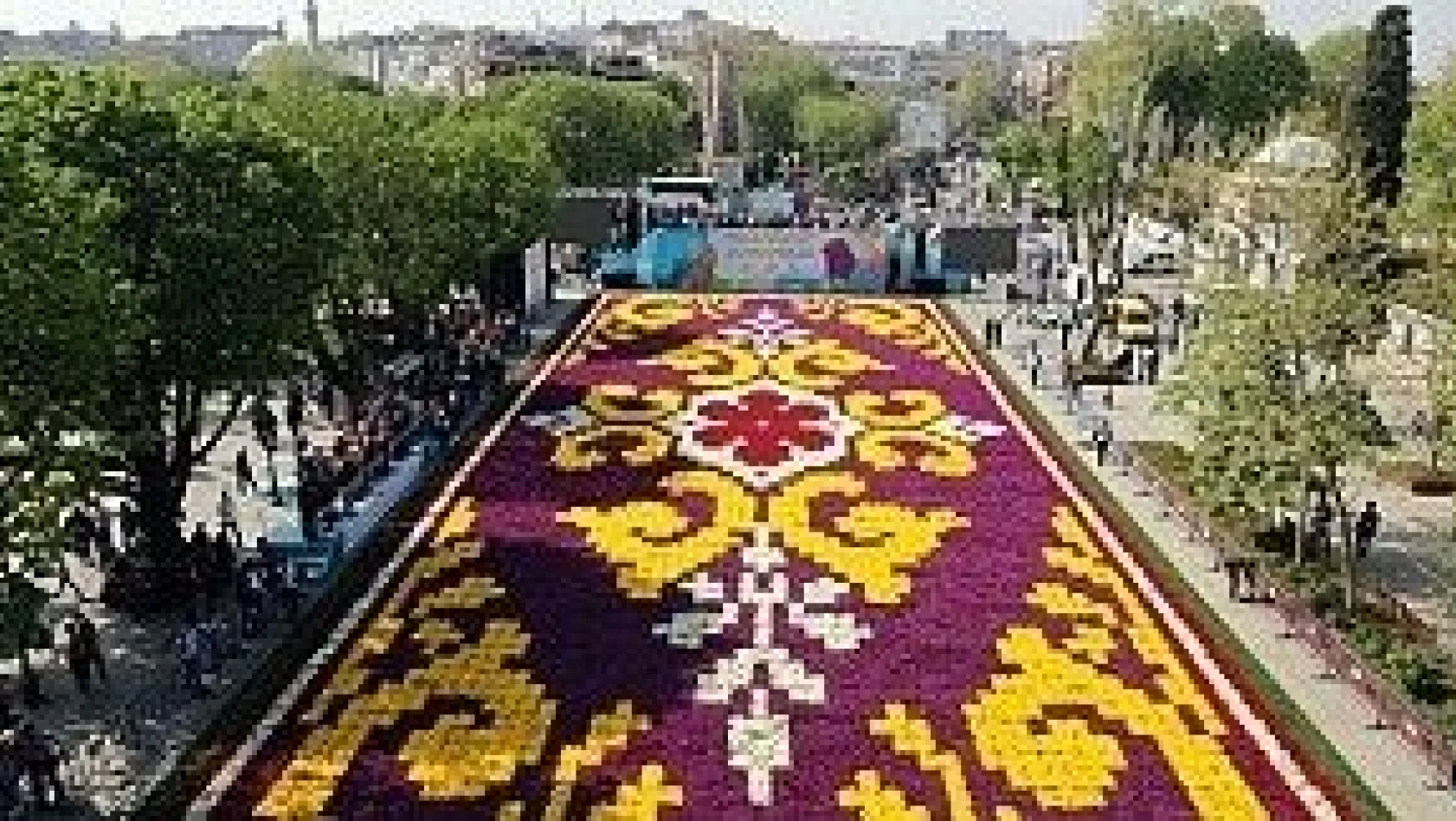 11. İstanbul Lale Festivali