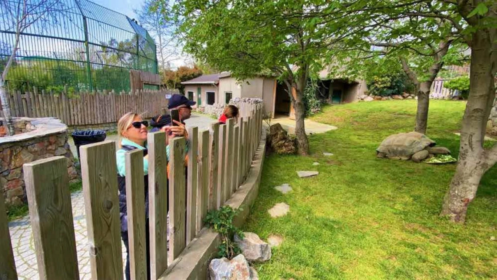 Devasa kaplumbağaya 102. yaş sürprizi