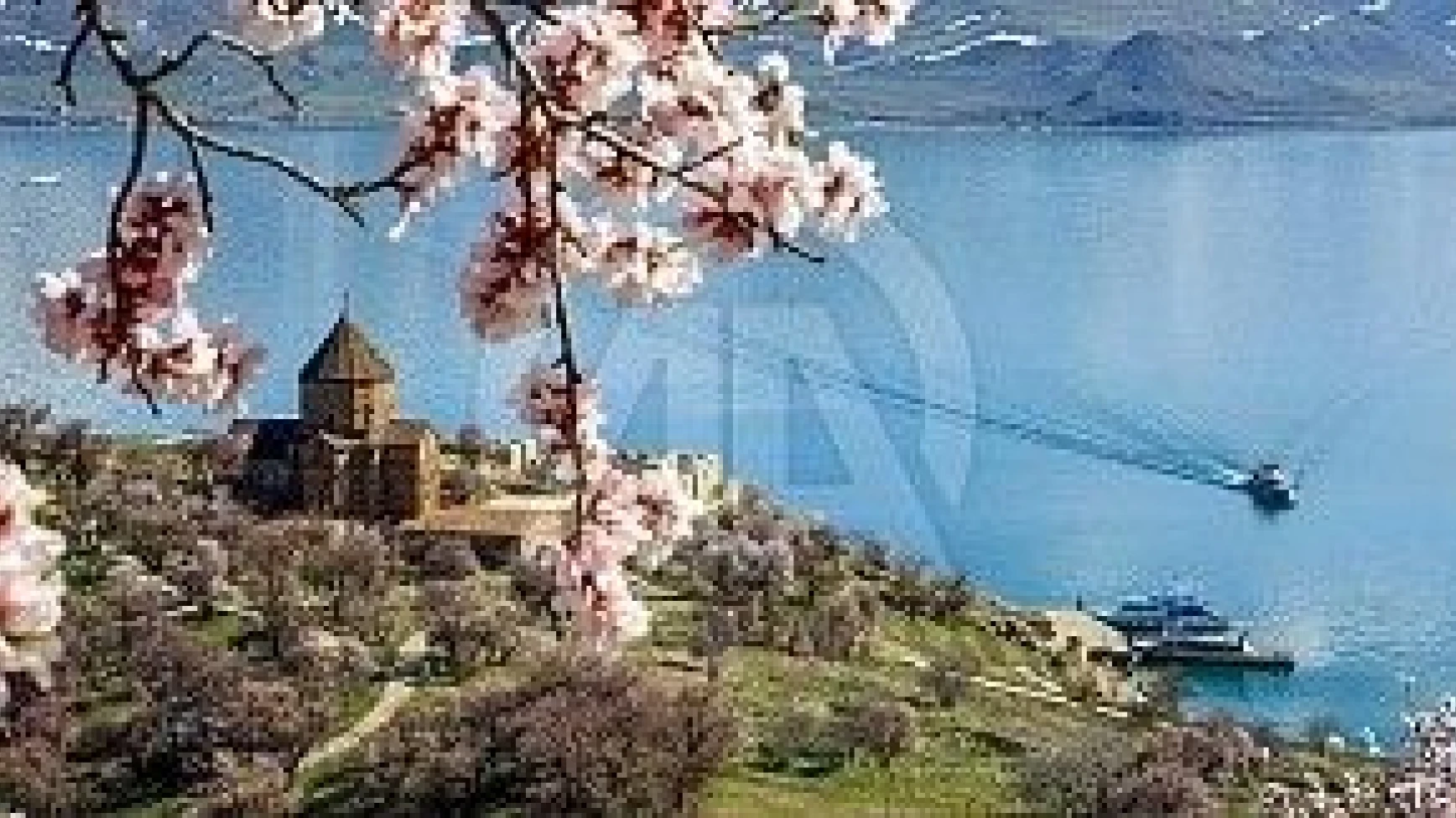 Akdamar Adası çiçeklere büründü