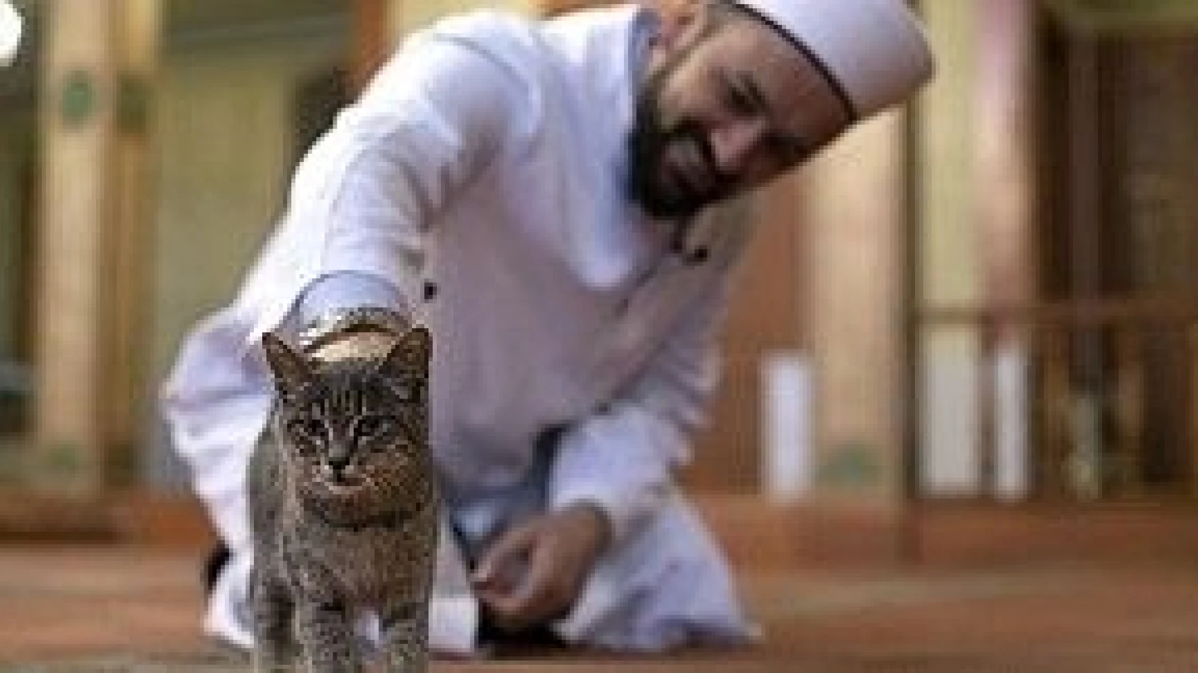 Kediciklerin babası cami imamı