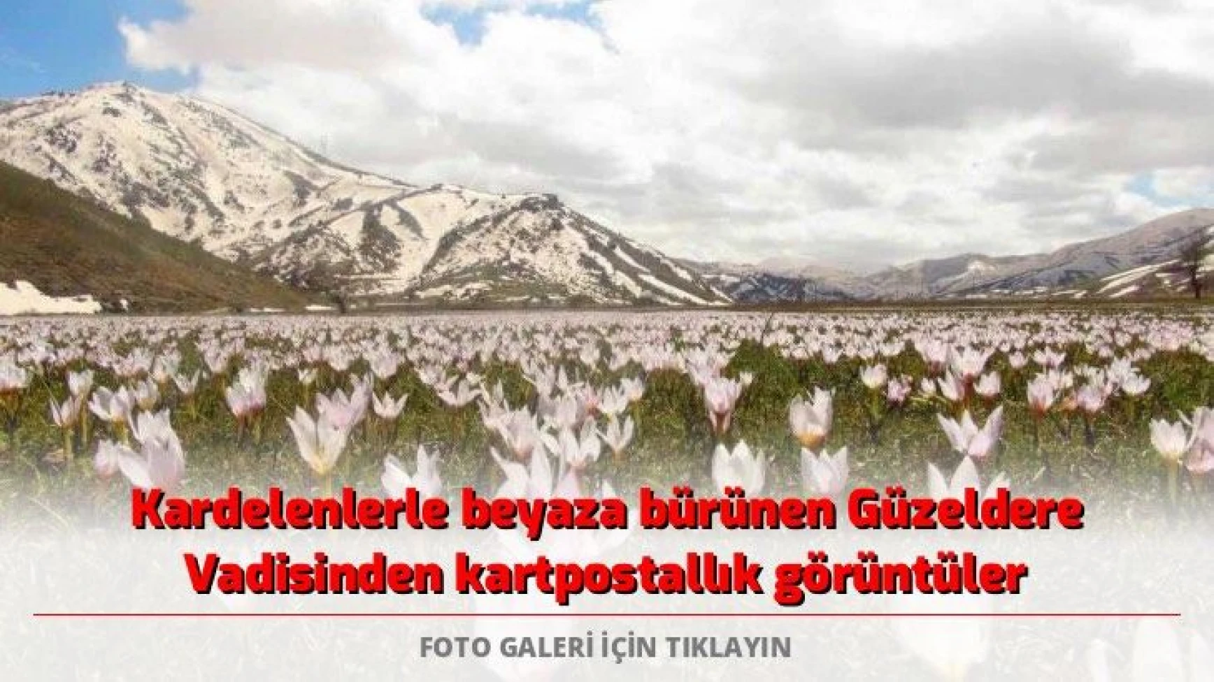 Kardelenlerle beyaza bürünen Güzeldere Vadisinden kartpostallık görüntüler