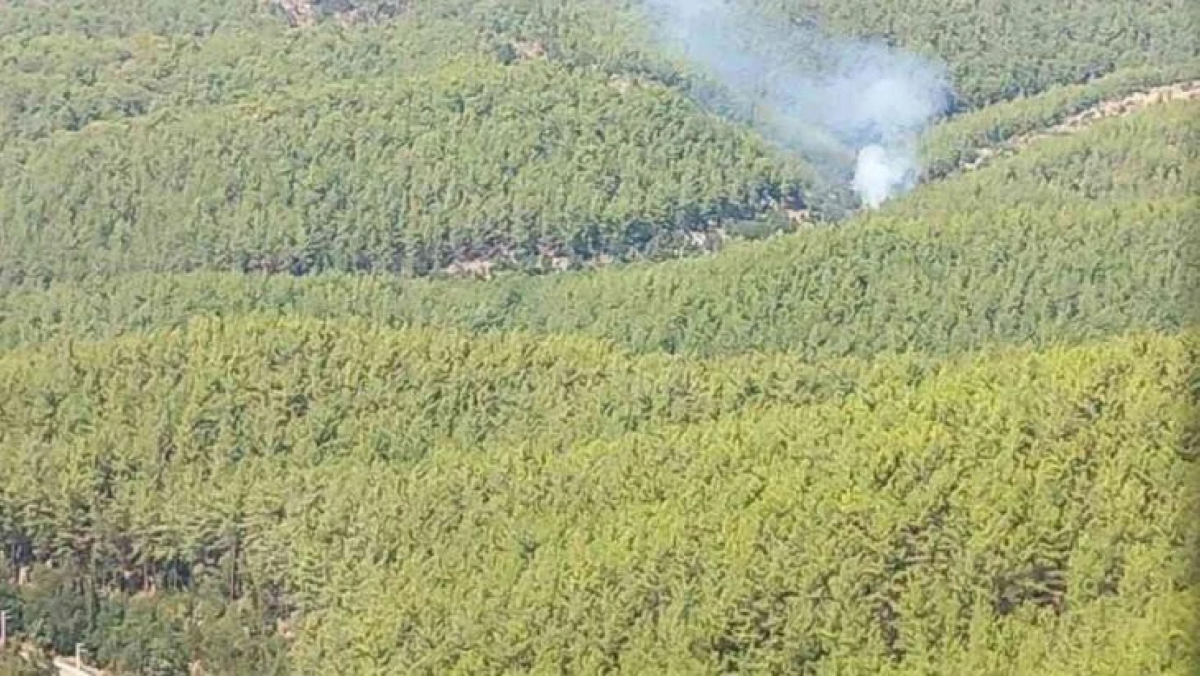 Alanya'da orman yangınında 2 dönüm alan zarar gördü