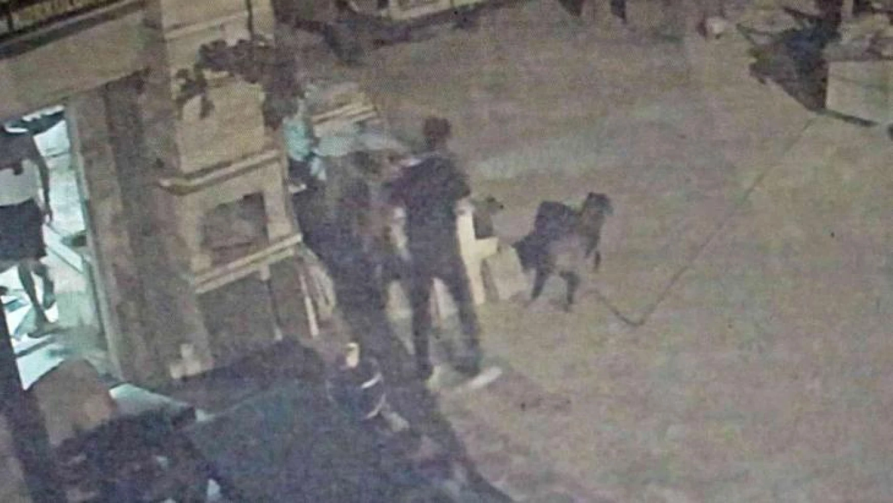 Antalya'da akıl almaz olay, tartıştığı arkadaşına sinirlenip aynı ismi taşıyan köpeği vurdu