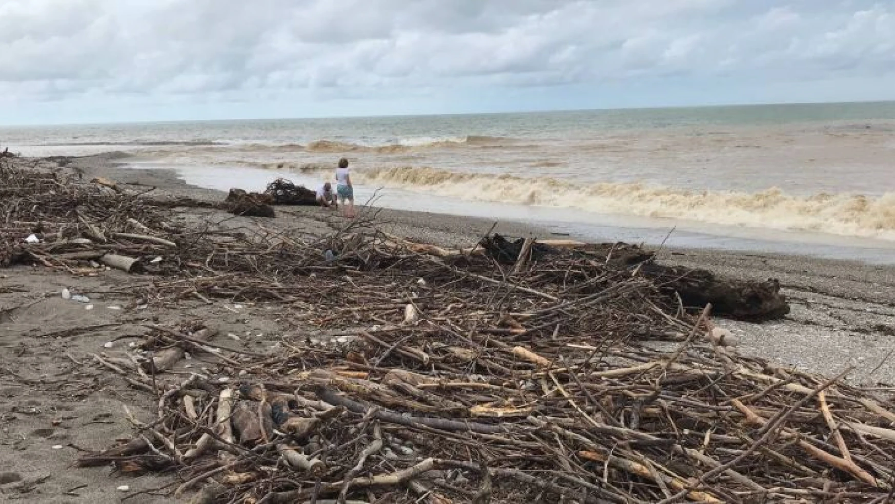 Aşırı yağışlarla gelen ağaç ve çöpler Akçakoca'da sahile vurdu