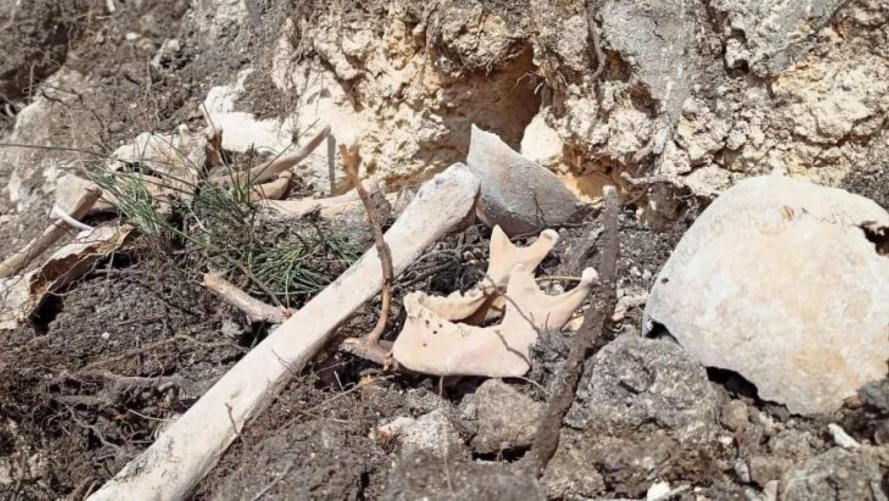 Azerbaycan'ın Ferruh köyünde yeni insan iskeletleri bulundu
