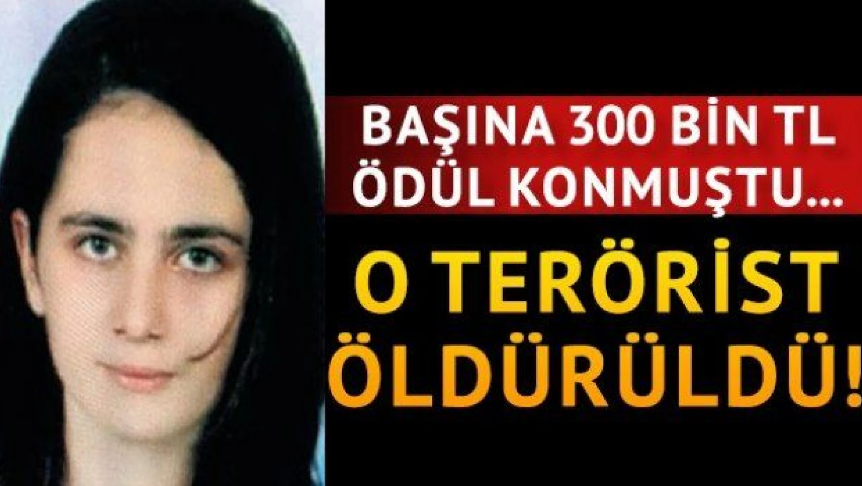 Başına 300 bin TL ödül konulan PKK'lı terörist öldürüldü