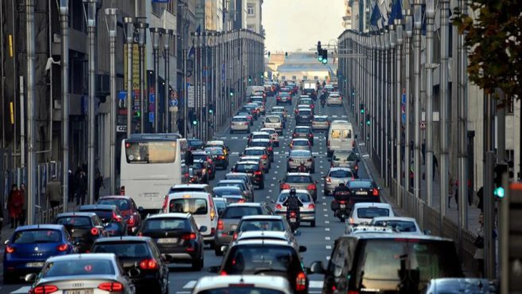 Brüksel'deki trafiğin suçlusu farelermiş