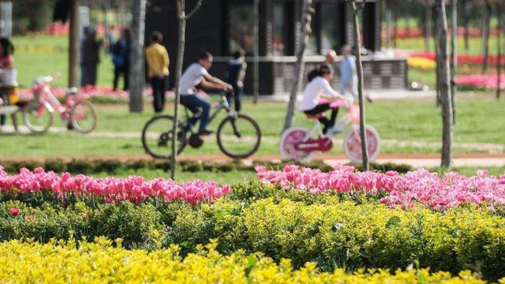 Bursa baharı milyonlarca çiçekle karşıladı