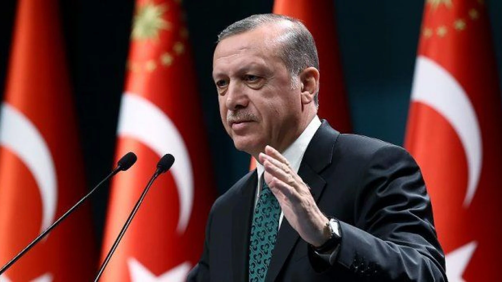 Cumhurbaşkanı Erdoğan: ' Vatandaşlıktan çıkarmada kararlıyız'