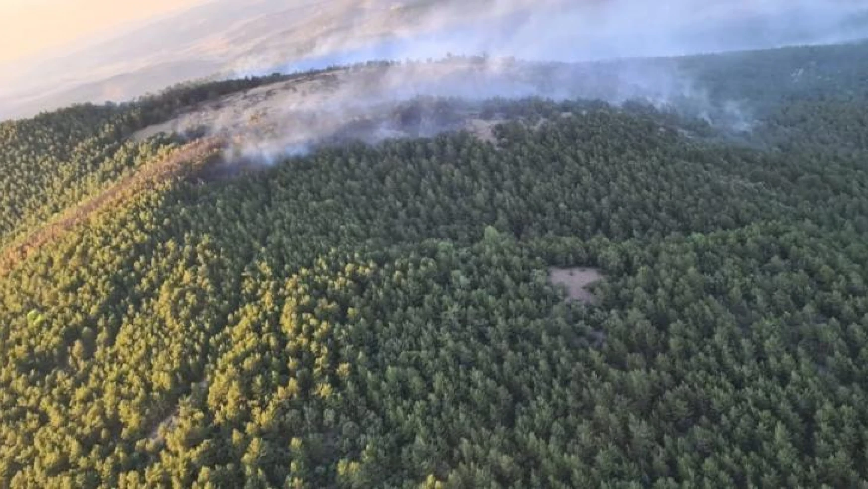 Eskişehir'deki yangında 10 hektarlık meşe ve karaçam ormanı zarar gördü
