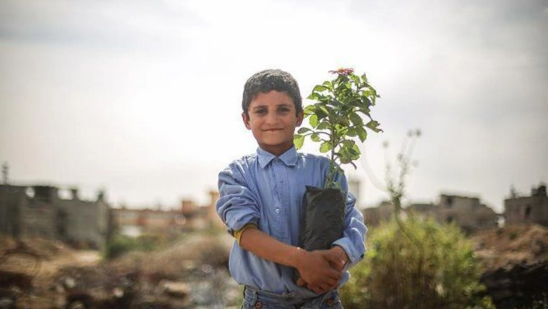 Gazzeli çocuklar İsrail'in bıraktığı enkaza çiçek dikti