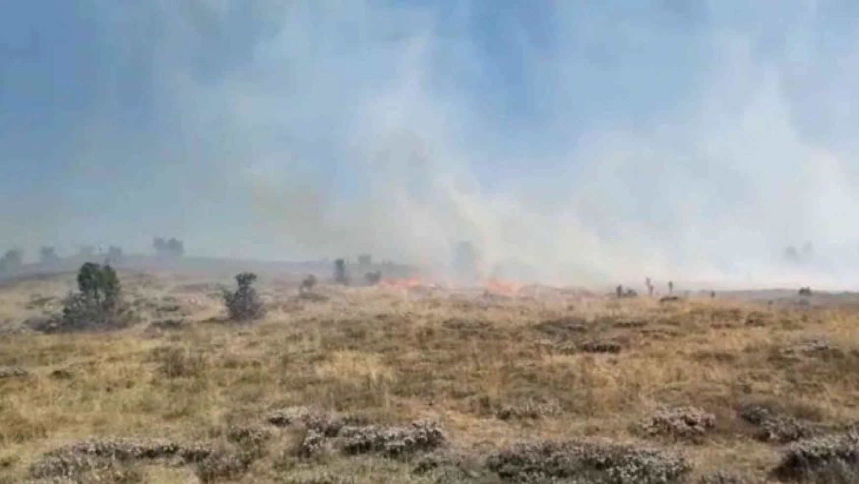 Giresun'da örtü yangını, ormana sıçramadan kontrol altına alındı