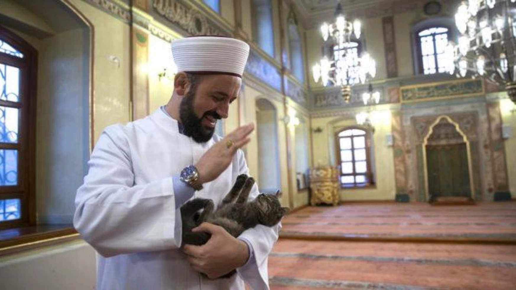 &quotKediciklerin babası" İstanbullu imam, imam dünya gündeminde / Foto galeri