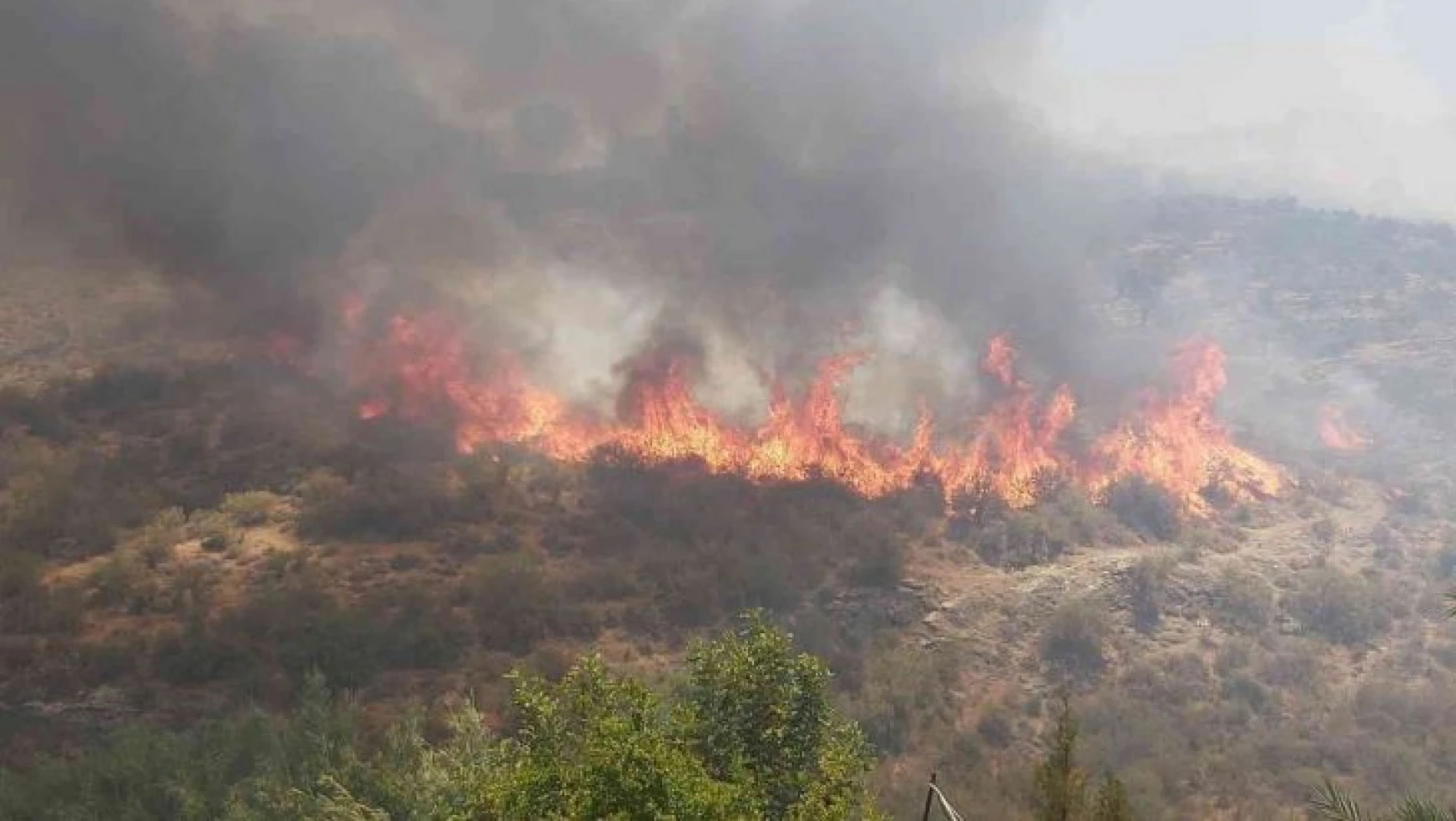 KKTC'deki orman yangınıyla mücadele devam ediyor