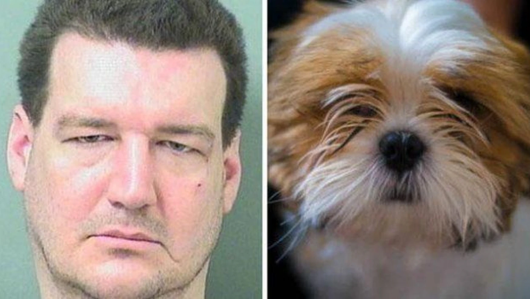 Köpeğini ısırdı hapis cezası aldı