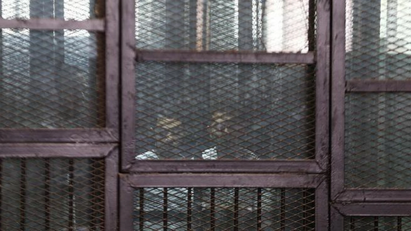 Mısır'da darbe karşıtı 237 kişiye müebbet hapis