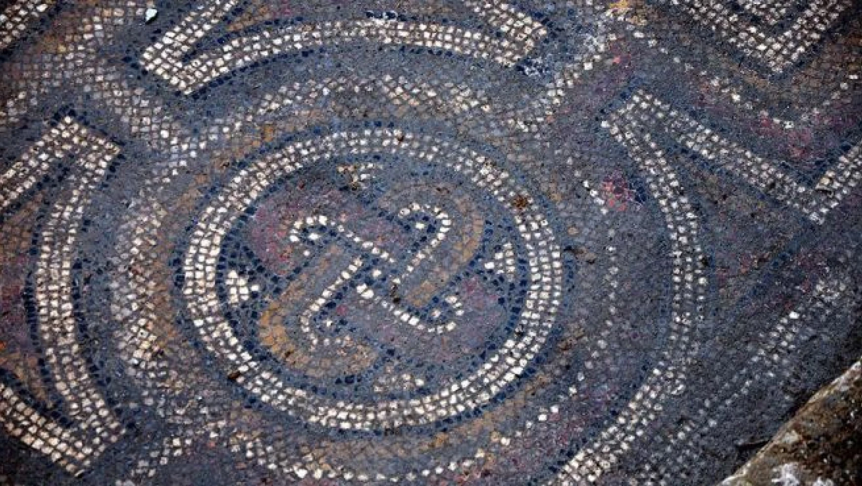 Osmaniye'de Roma dönemine ait mozaik bulundu
